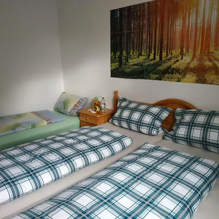 Apartment Ferienwohnung Heinig Bad Dürrheim