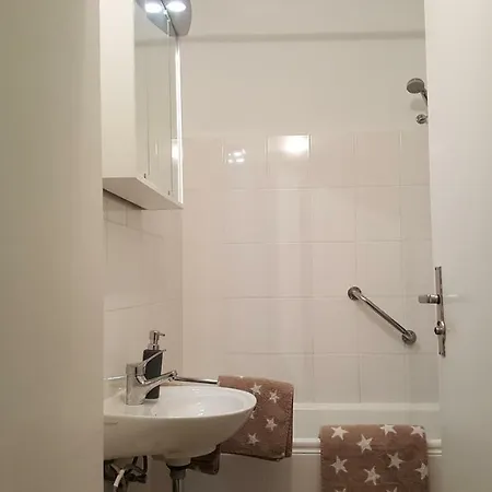 Apartment Ferienwohnung Heinig Bad Dürrheim