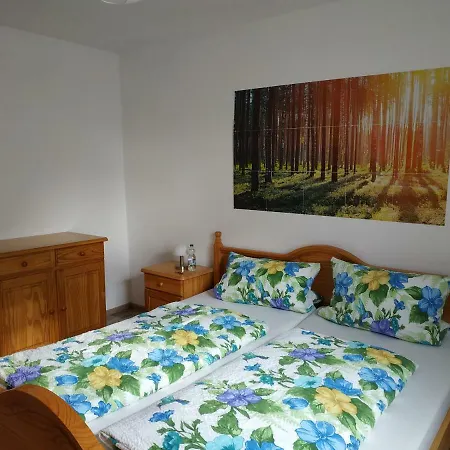 Apartment Ferienwohnung Heinig Bad Dürrheim